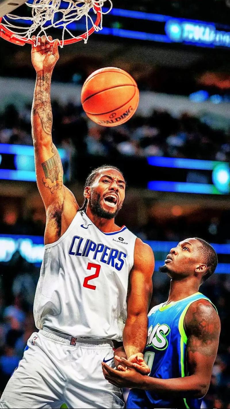 项目延续与 项目延续与